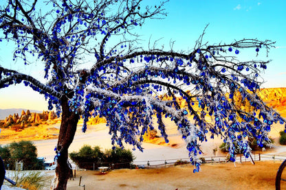 Cappadocia Red Tour – Full-Day Guided Adventure