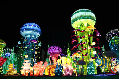 Dubai Glow Garden Admission Ticket