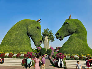 Цветочные лошади в Dubai Miracle Garden