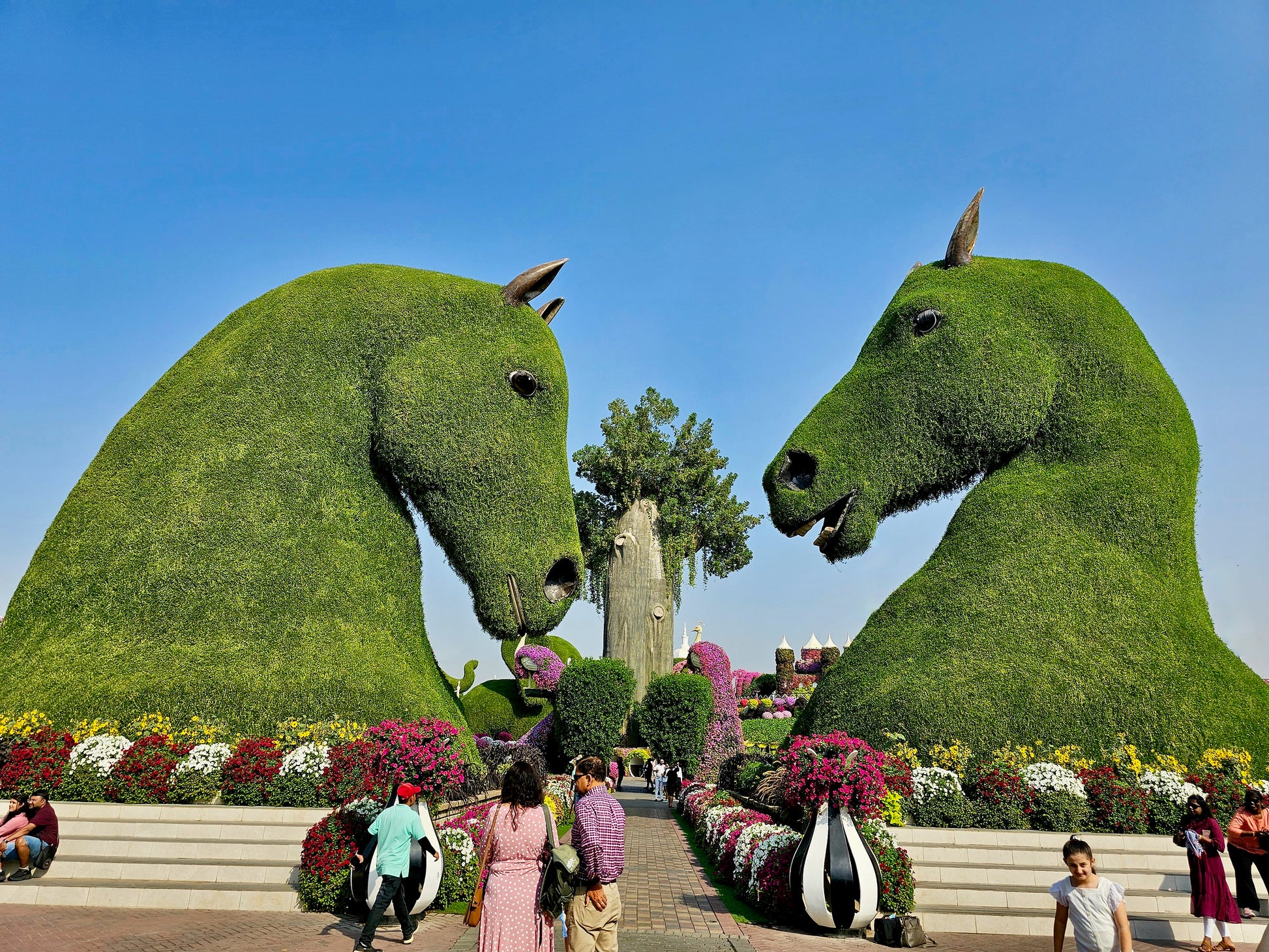 Floral horses at Dubai Miracle Garden