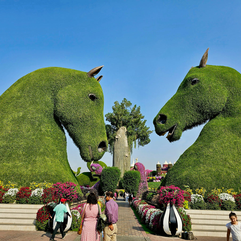 Floral horses at Dubai Miracle Garden