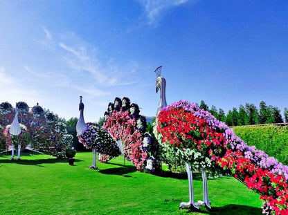 Dubai Combo: Global Village with Miracle Garden Tickets - Tripventura