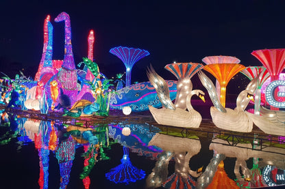 Dubai Glow Garden Admission Ticket