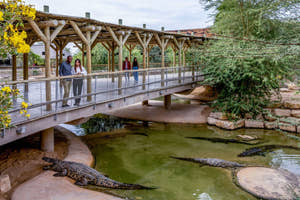 Dubai Crocodile Park