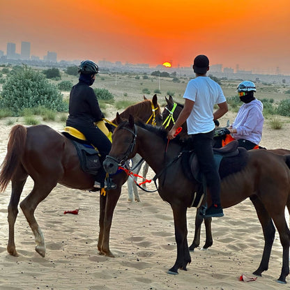 Dubai Horseback Riding Tour