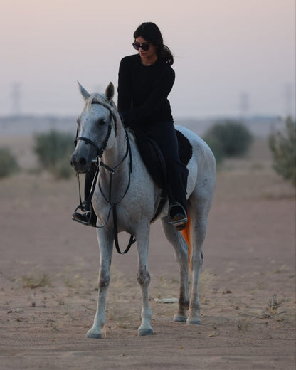 Dubai Horseback Riding Tour