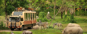 Safari experience at the Bali Safari and Marine Park with wild animals