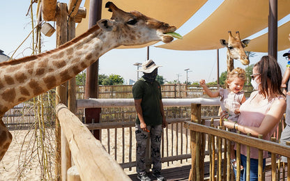 Dubai Safari Park Tickets