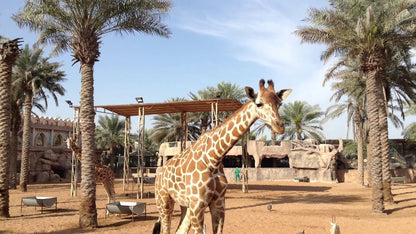 Билет в зоопарк Emirates Park Абу-Даби