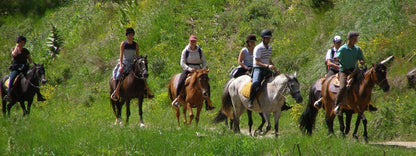 Kemer Horseback Riding Tour with Roundtrip Transfer
