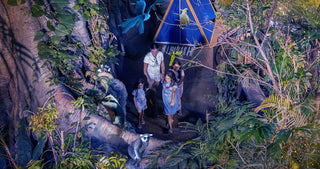 People in the interior of The Green Planet Dubai