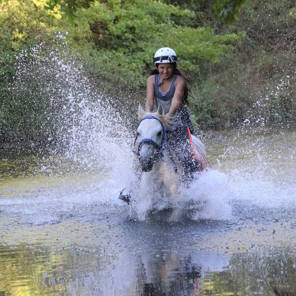 Kemer Horseback Riding Tour with Roundtrip Transfer