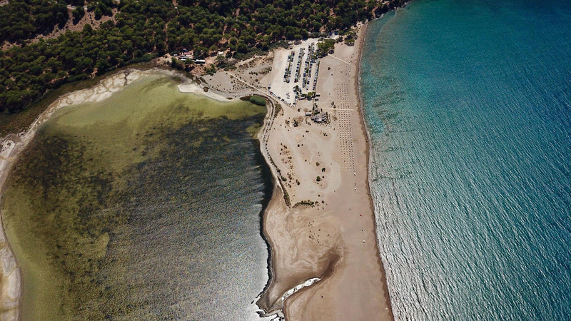 Fethiye Dalyan Cruise, Turtle Beach & Mud Baths