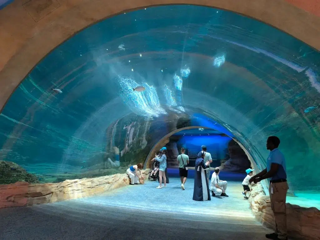 Seaworld, Abu Dhabi
