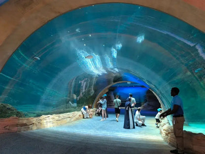 Seaworld, Abu Dhabi