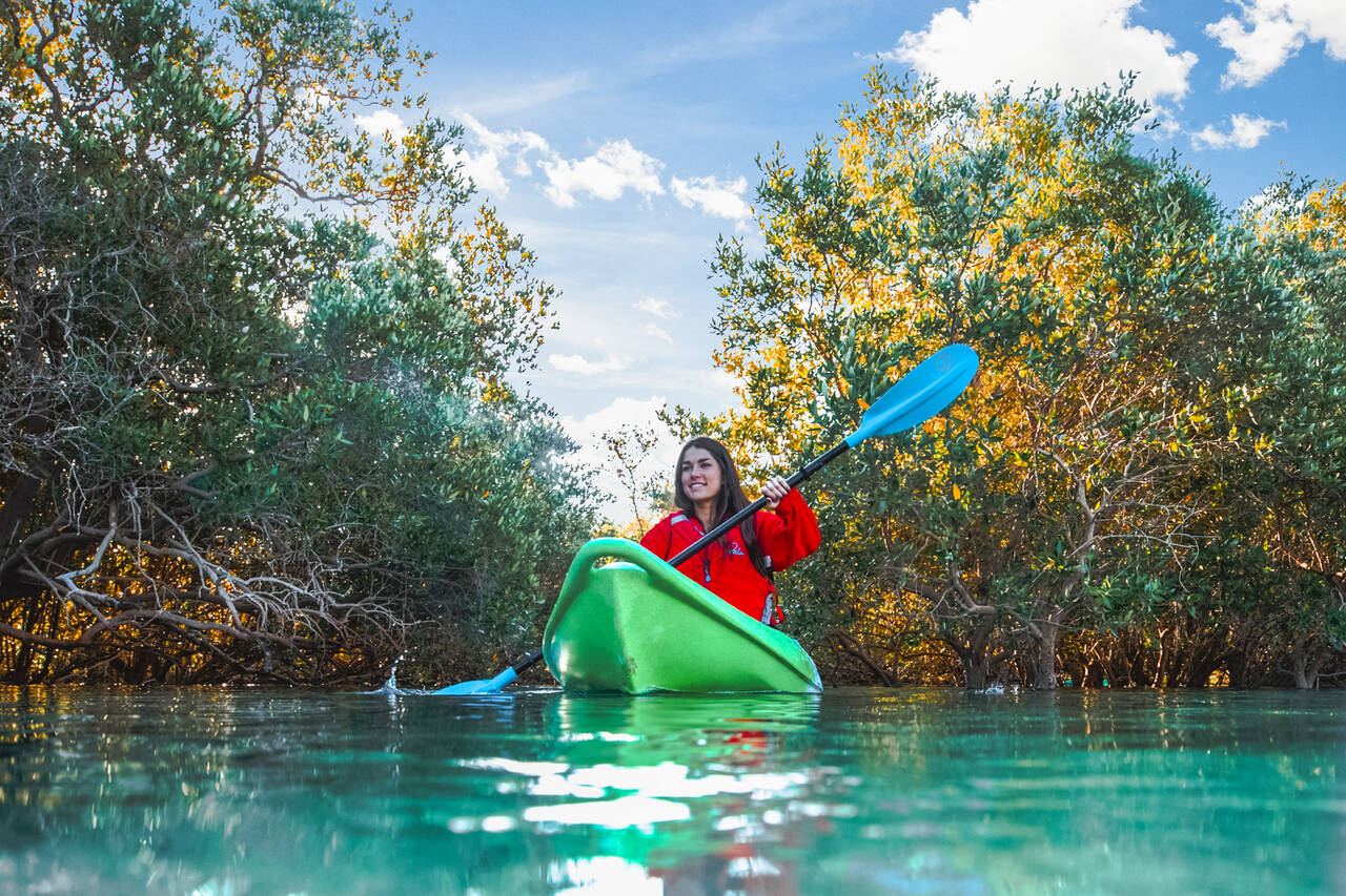 Girl Mangrove Kayaking In Reem Island Abu Dhabi