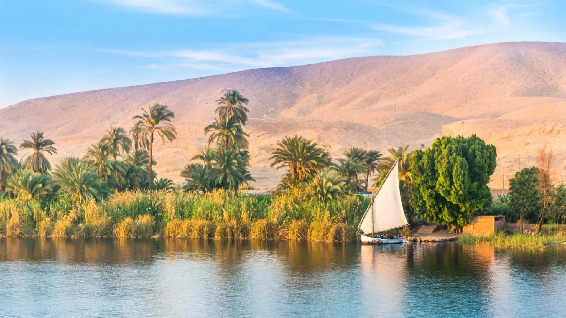 The Pharaohs' Legacy
