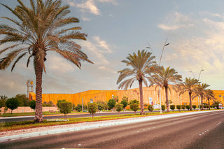 Palm trees