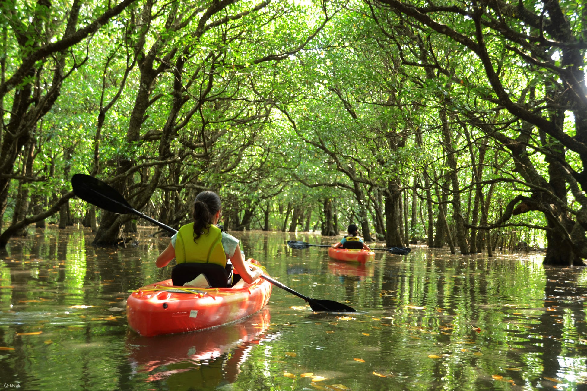 Girl Mangrove Kayaking In Reem Island Abu Dhabi
