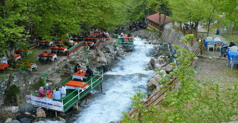Daily Sapanca Lake & Masukiye Tour from Istanbul