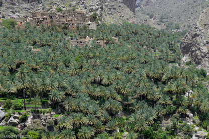 Full Day Trip to Bahla and Misfat Al Abryeen From Muscat