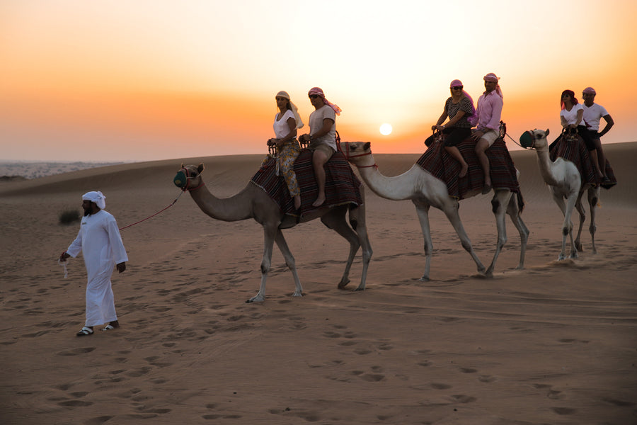 Dubai Evening Platinum Desert Safari in Private Land Rover Defender