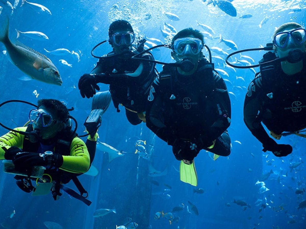 Dubai Discover Beach Try Scuba Diving, Free Roundtrip Transportation, with Free Dive Photos and Videos, with Unlimited Beverages - Tripventura