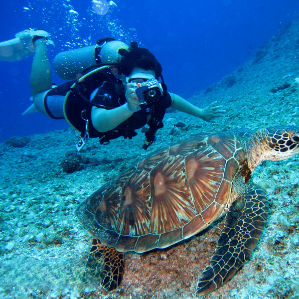 Girl scuba diving in Alanya and taking photos of turtle