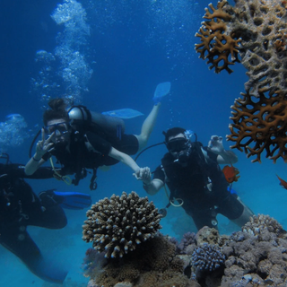 Peple scuba diving in Alanya