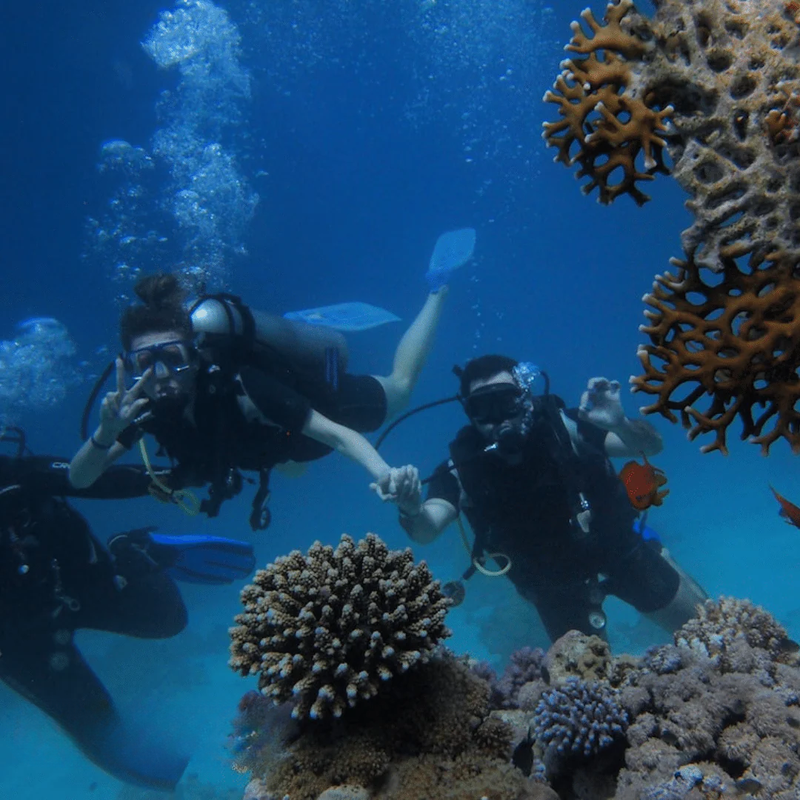 Peple scuba diving in Alanya
