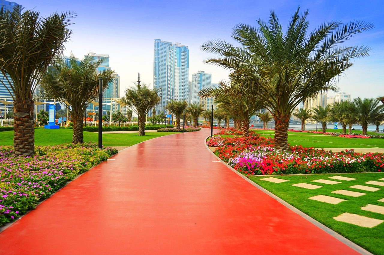 Sharjah City Tour From Dubai