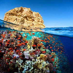 Ubådstur i Sharm El Sheikh