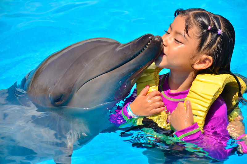 Dolphin & Sea Lions Show with Entrance