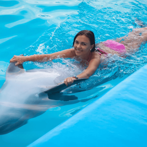 Swimming with Dolphins, Expert Trainers & Transfer from Alanya