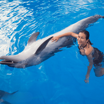 Alanya Dolphin, Sea Lions Show Entrance with Transfer