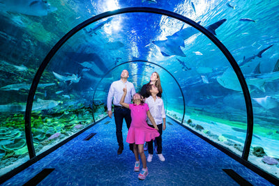 Inside Abu Dhabi National Aquarium