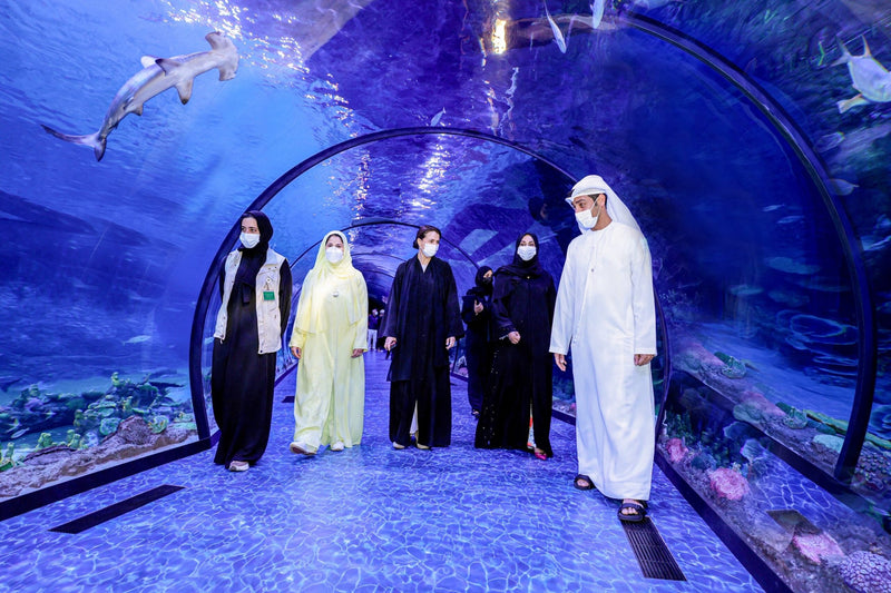 Yeraltı Abu Dabi Ulusal Akvaryumu'nu ziyaret eden insanlar