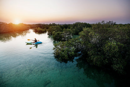 Man Mangrove Kayaking In Reem Island Abu Dhabi