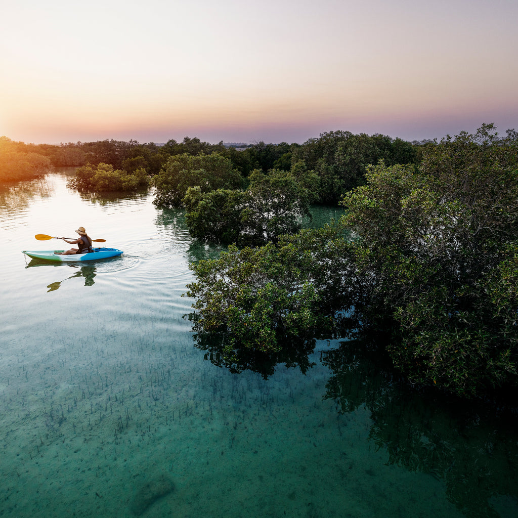 Man Mangrove Kayaking In Reem Island Abu Dhabi