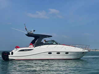 Dubai Oryx Yat