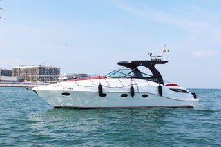 Dubai Oryx Yat
