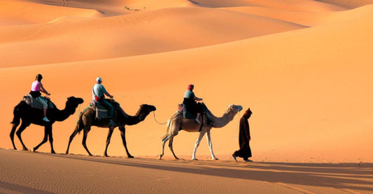 Sharm El Sheikh Quad Bike Safari with Transfer