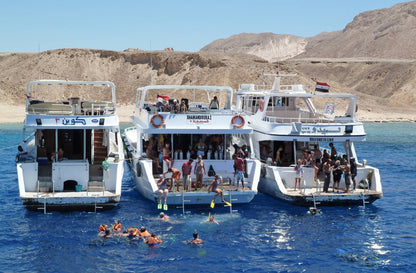 Dubai Discover Boat Try Scuba Diving Tour с бассейном, погружением с лодки, транспортом и обедом