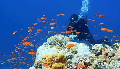 Hurghada 7 Nights Package