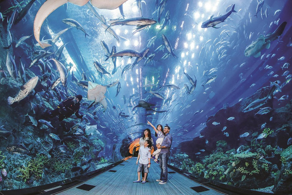 Family in Dubai Aquarium 