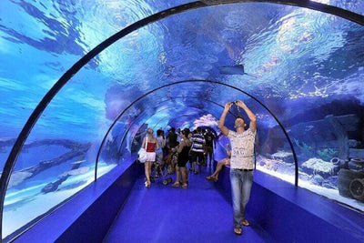 Antalya Aquarium Tour with Entrance & Transfer From Belek