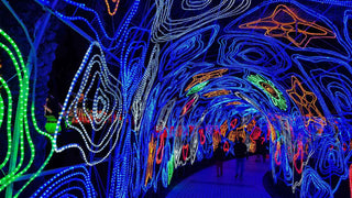 characteristic of the Dubai Garden Glow