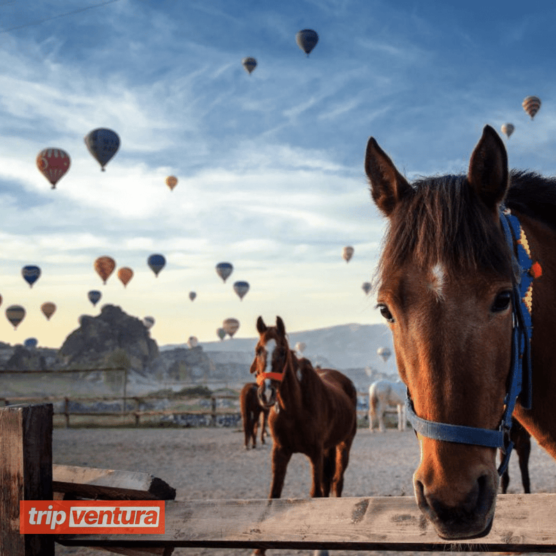 Двухдневный культурный тур по Алании и Каппадокии — Tripventura