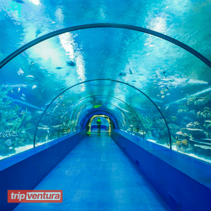 Side Aquarium Tour - Tripventura