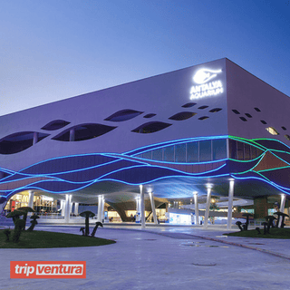 Alanya Antalya Aquarium Tour - Tripventura